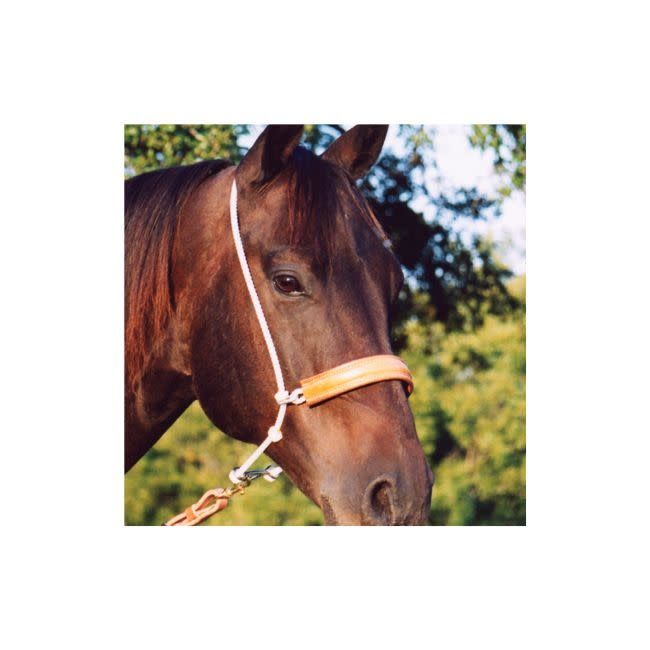 Leather Nose Headsetter Tiedown