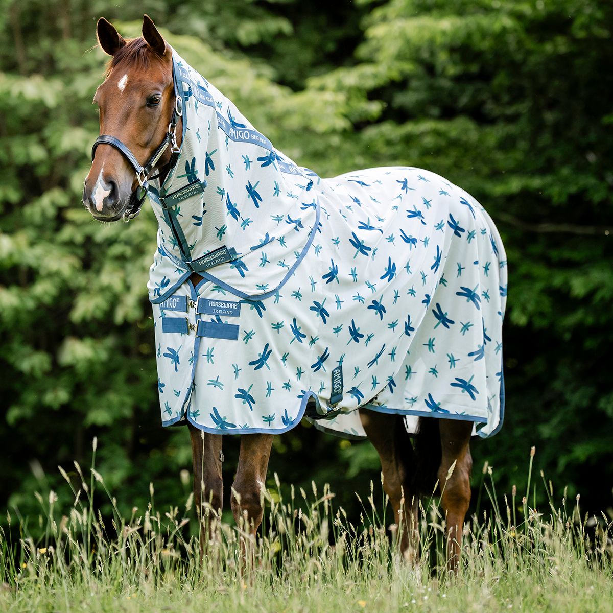 Integrated Fly Sheet - Dragonfly