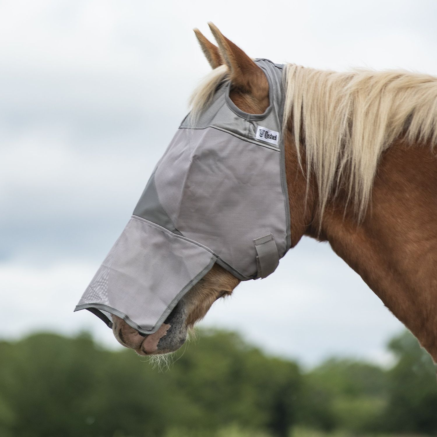 Crusader Fly Mask Long Nose Grey