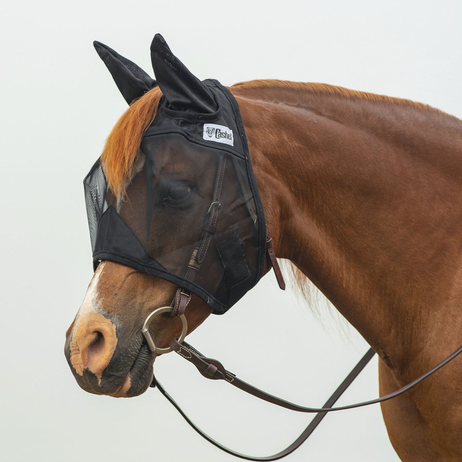 Quiet Ride Fly Mask Horse, Type: Standard Ears