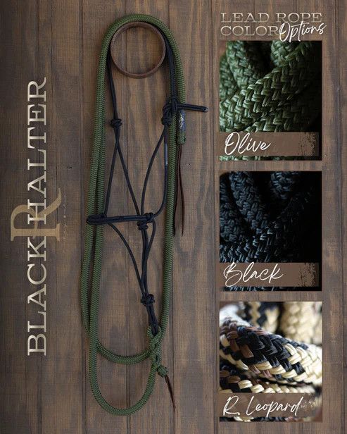 Hay Chix Timeless Halter &amp; Lead Rope, Color: Black