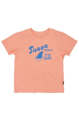SHARK BEACH VINTAGE TEE, Size: 6-7Y
