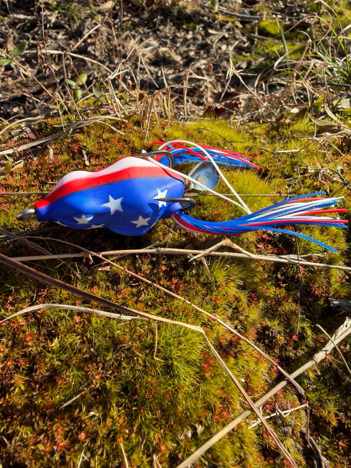 Dart Frog (Stars &amp; Stripes)