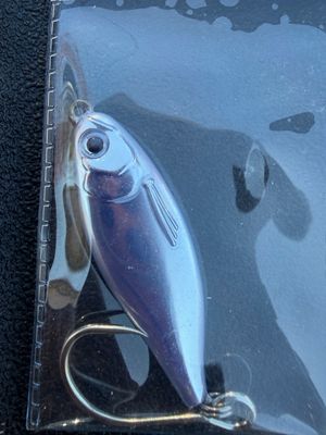 1 oz. Jig n Rattle Spoon