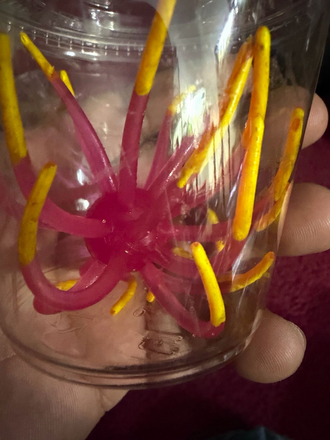 Solar Hydra