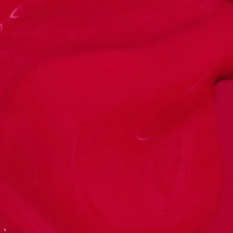 Rode gellak met glansafwerking, genaamd "Dutch Tulips" – Een elegante en klassieke kleur die je nagels een tijdloze en stijlvolle uitstraling geeft.