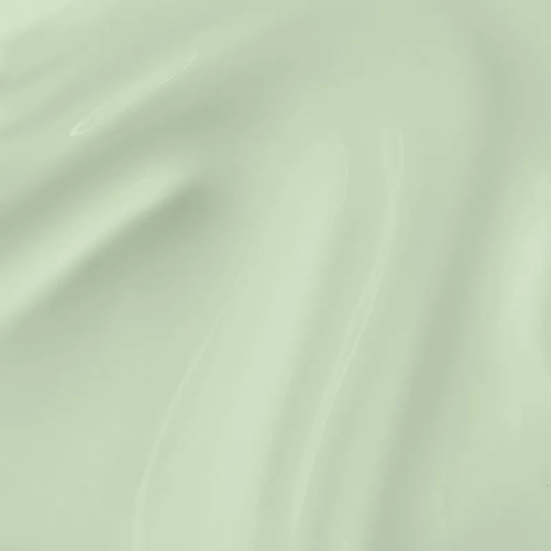 Sage It For Later – vegan groene nagellak met 65% natuurlijke ingrediënten, glanzend en langdurig.