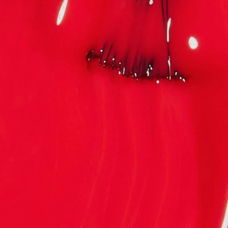 OPI nagellak Cajun Shrimp – rood, glans, langhoudend voor mani’s en pedi’s