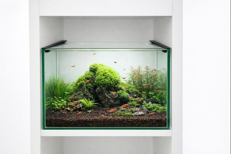 Aquarium 33x38x22cm 27L passend für IKEA Kallax Regale