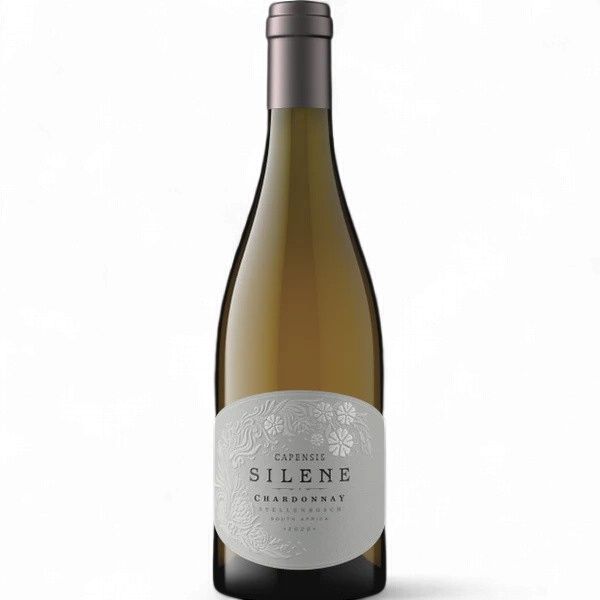 Capensis Silene 2022