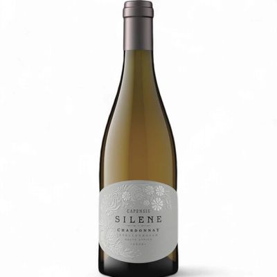 Capensis Silene 2022