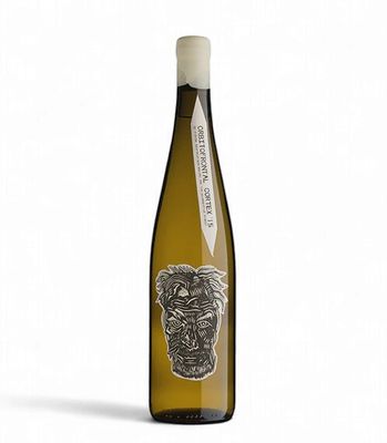 BLANKbottle Orbitofrontal Cortex 2024