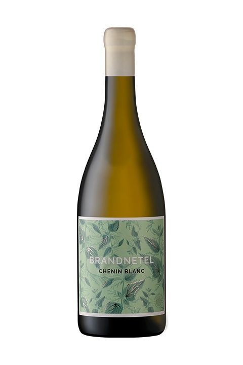 Thistle &amp; Weed Brandnetel 2023