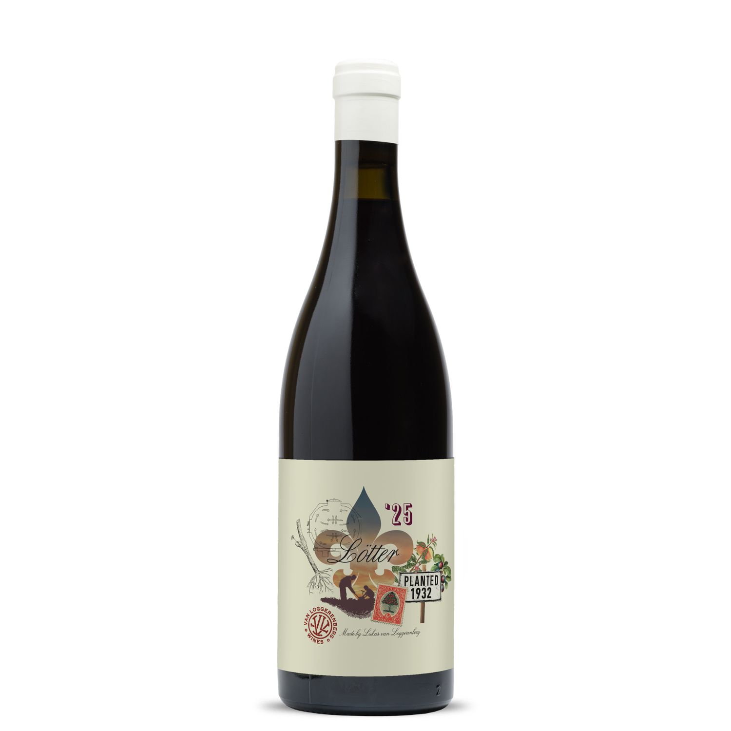 Van Loggerenberg Lötter Cinsaut 2025