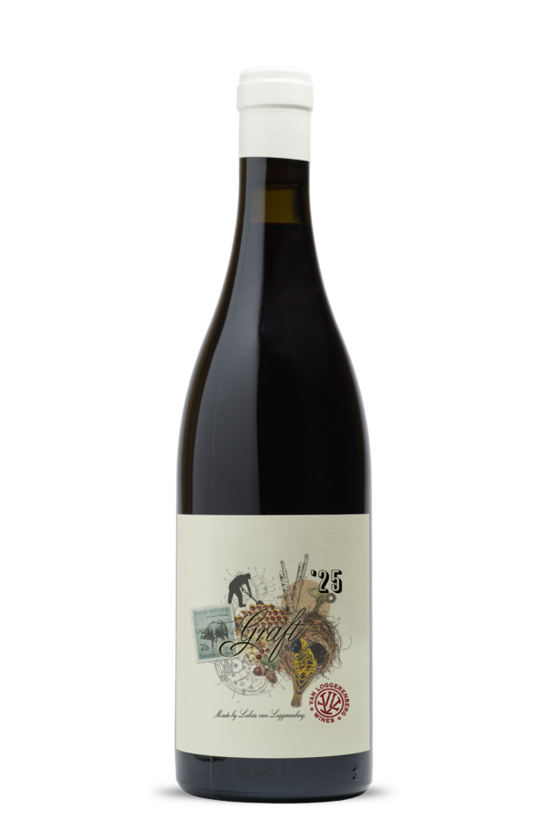 Van Loggerenberg Graft Syrah 2025