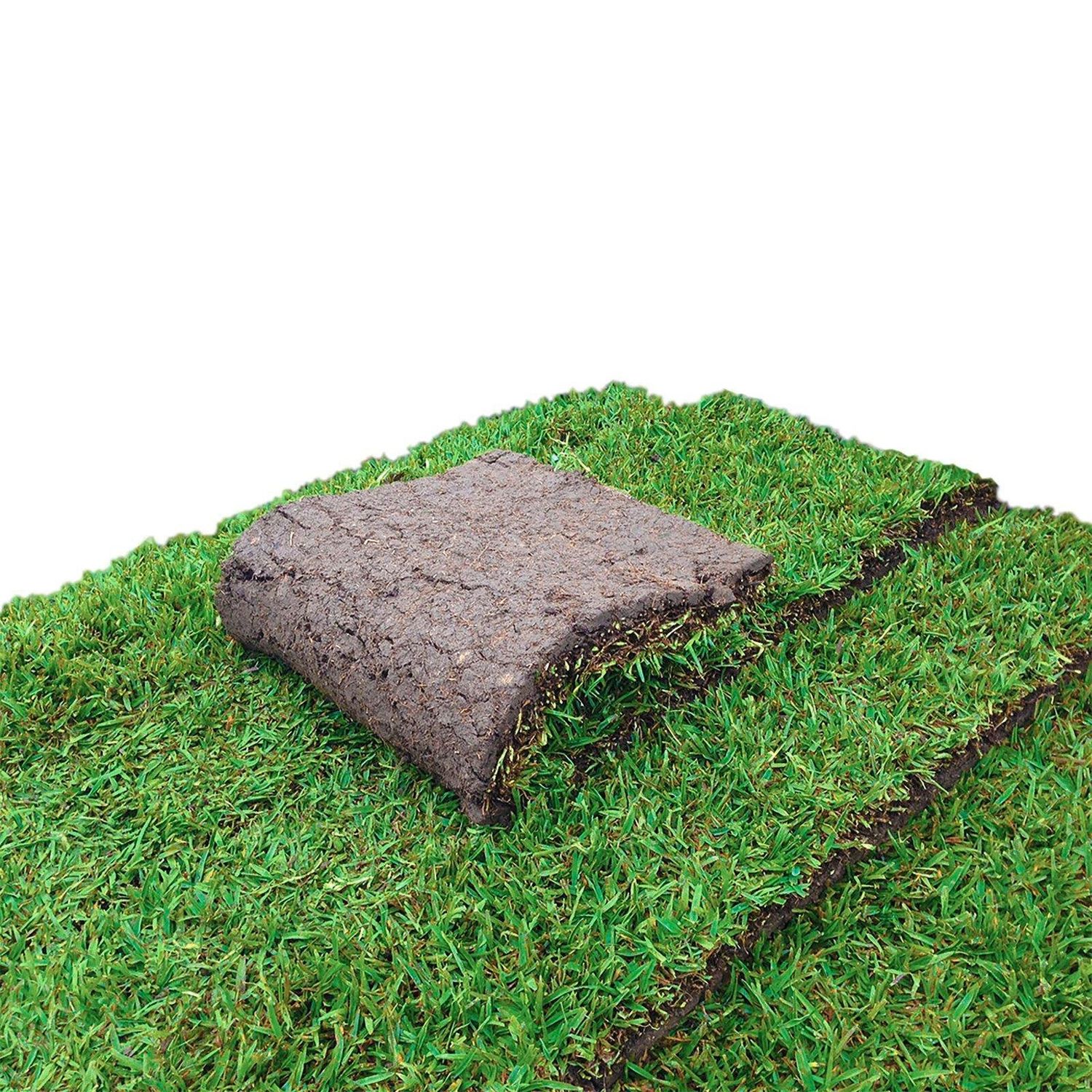 Turf - Eureka Kikuyu