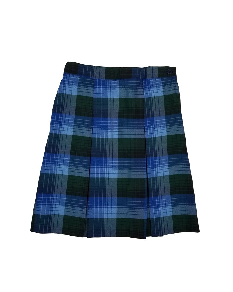 CLEARANCE SKIRT 134 PLAID 46