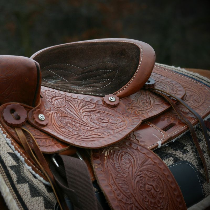 Saddle Pads