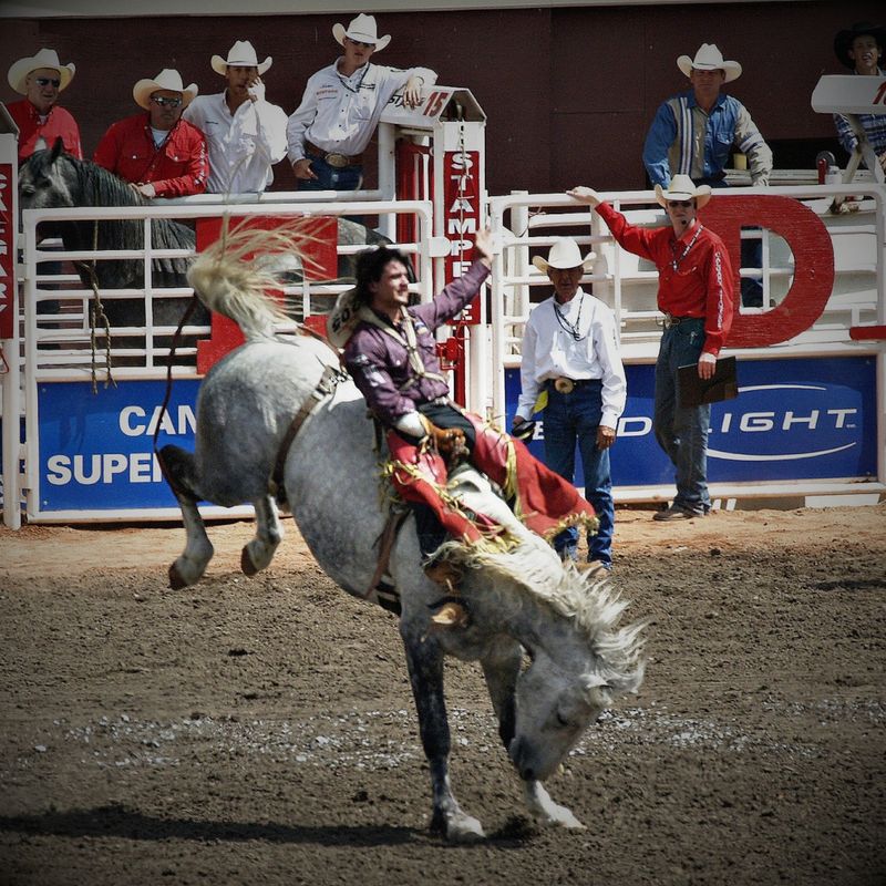 Roughstock