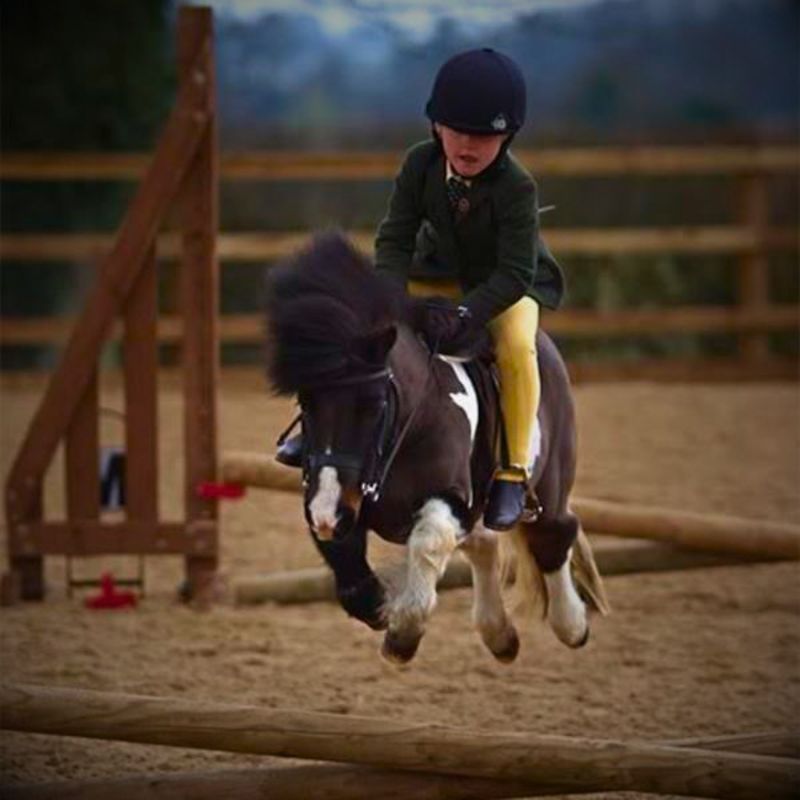 Pony &amp; Mini