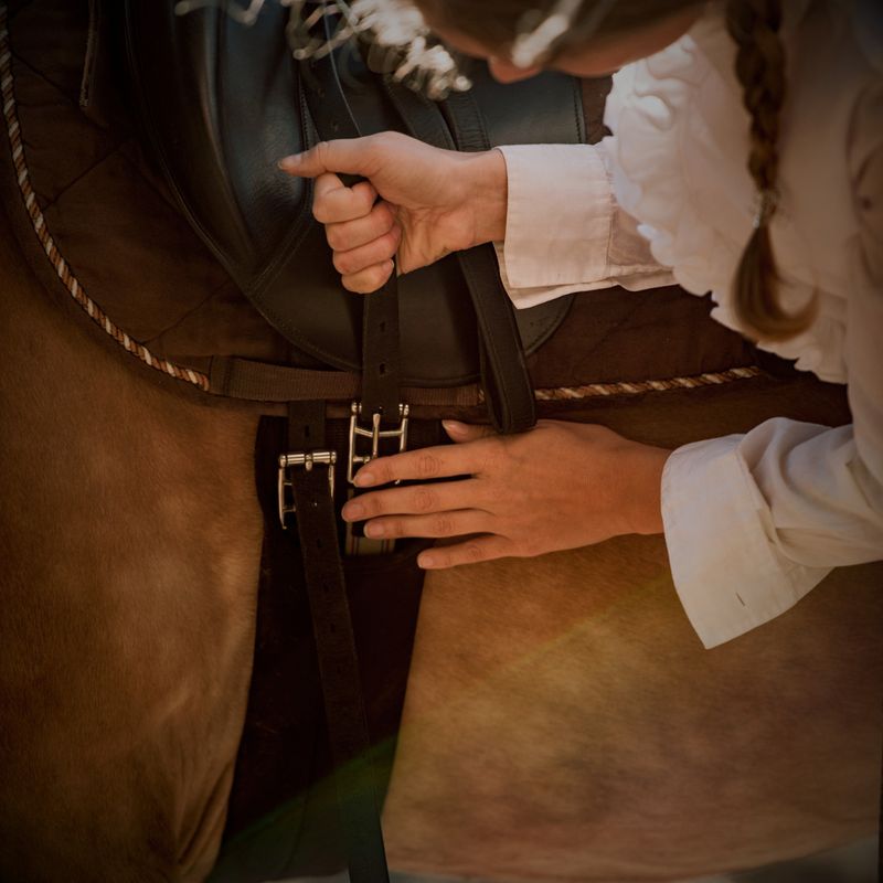 Cinches &amp; Accessories