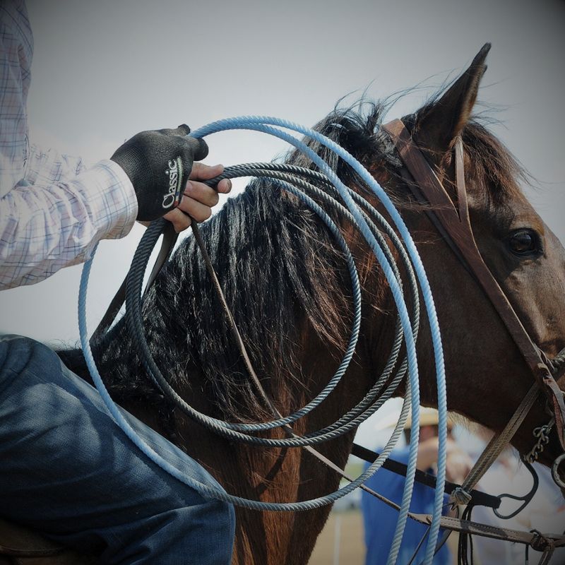 Roping Gloves