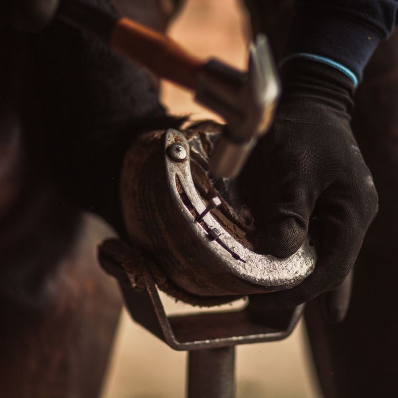 Farrier