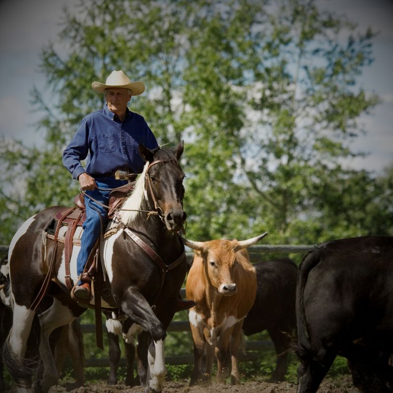 Cowhorse
