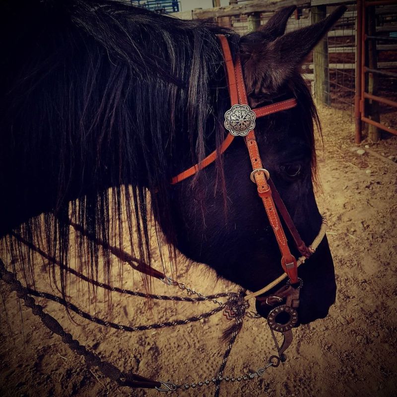 Headstalls