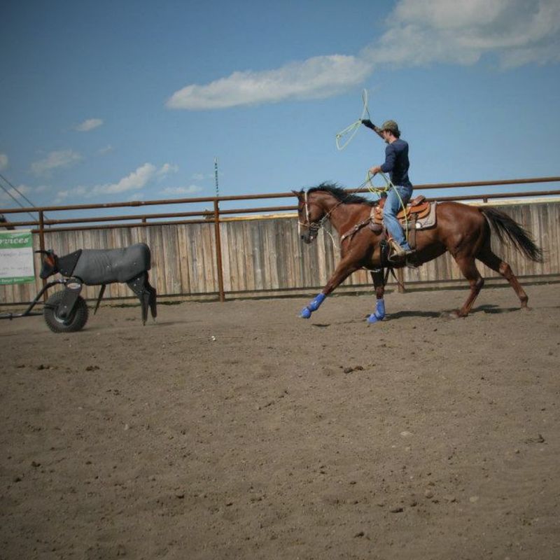 Roping Dummies