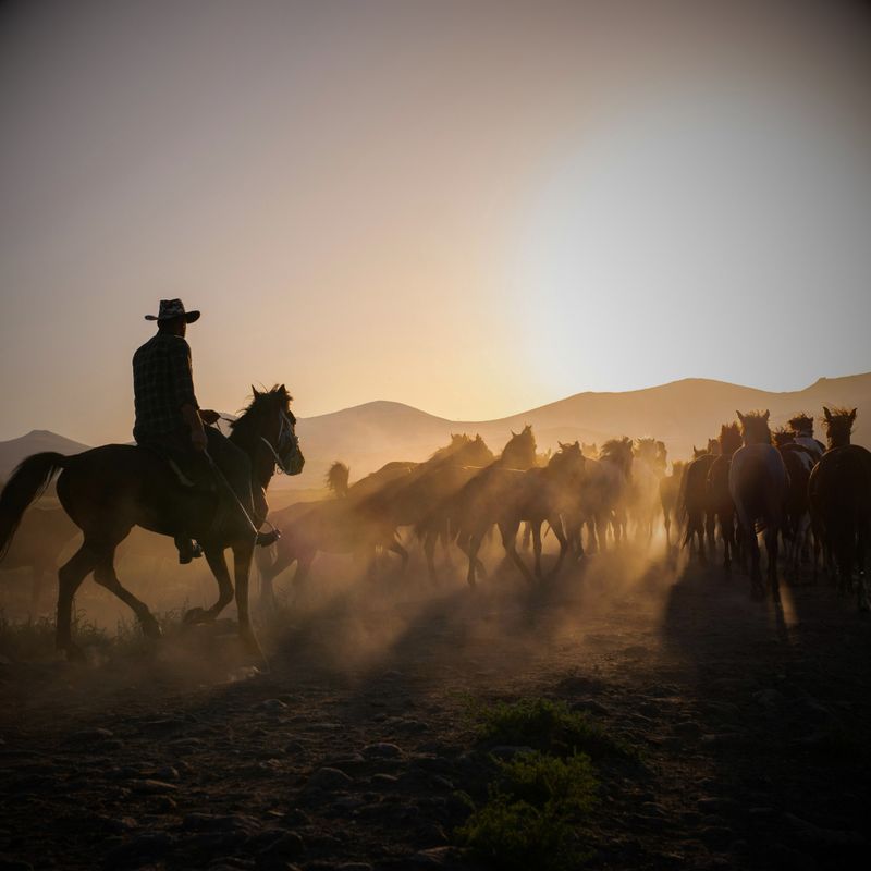 Farm &amp; Ranch