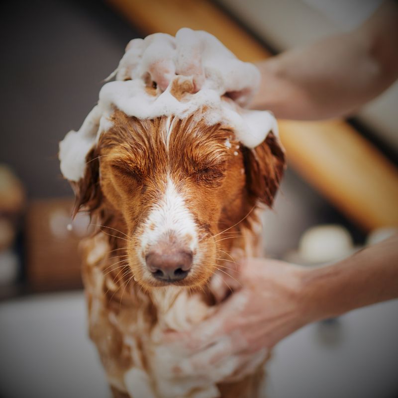 Grooming