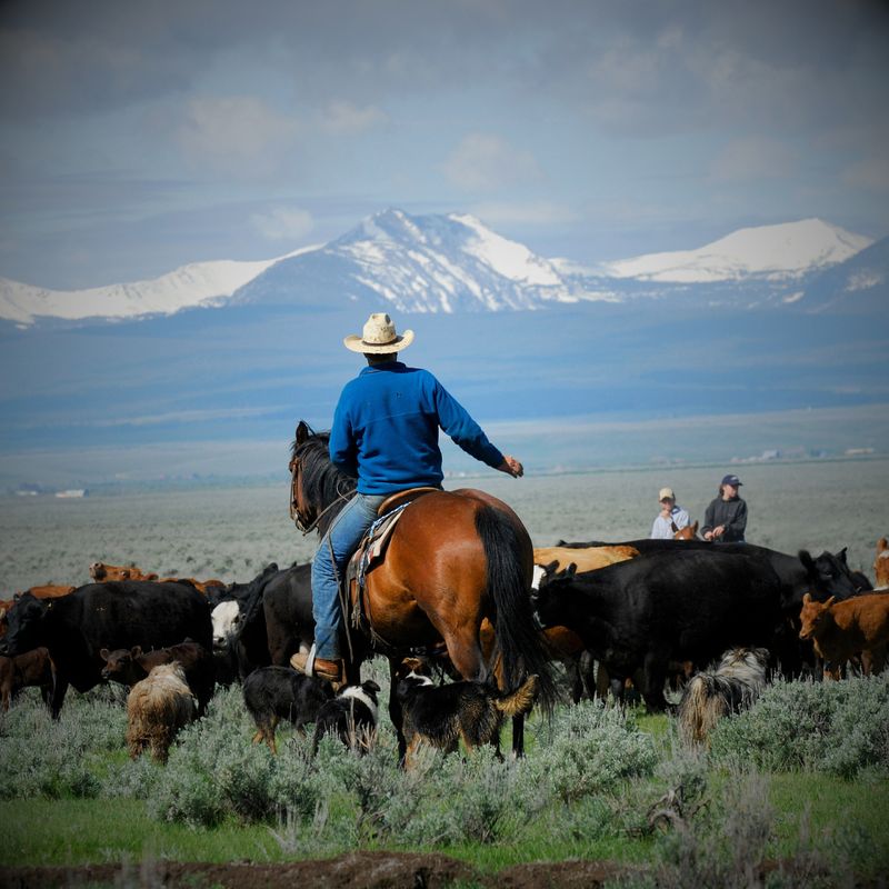 Ranch &amp; Wade