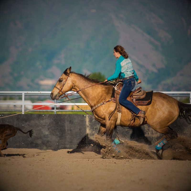 Breakaway &amp; Tie Down