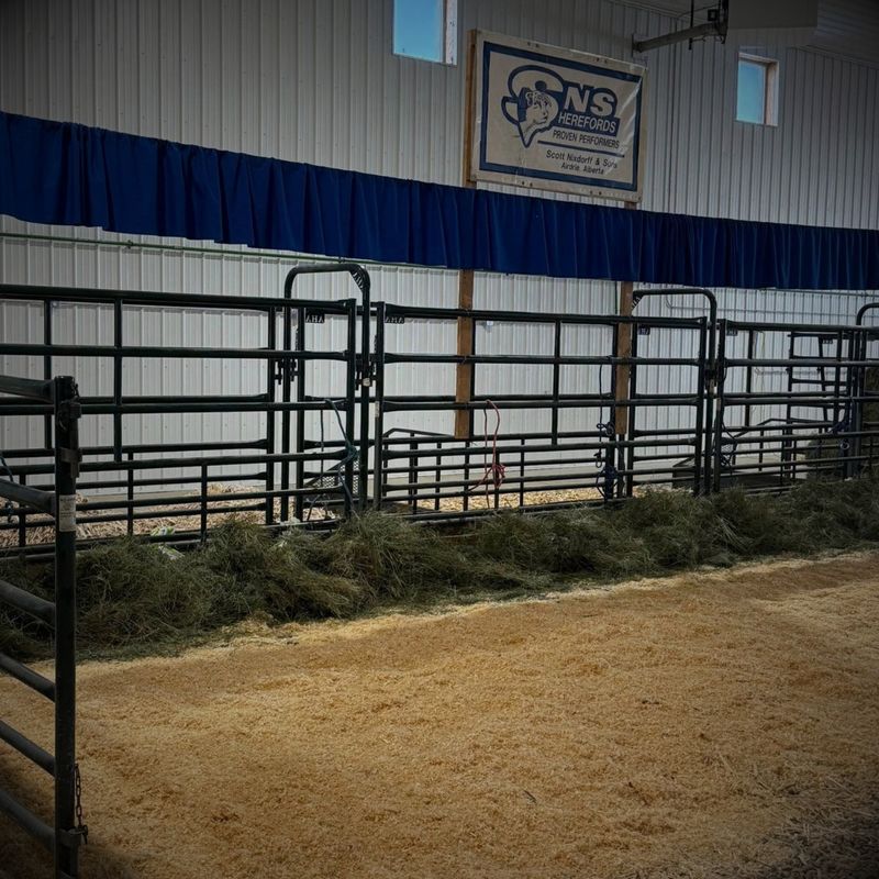 Panels, Gates &amp; Herd Handling