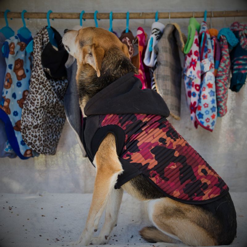 Clothing