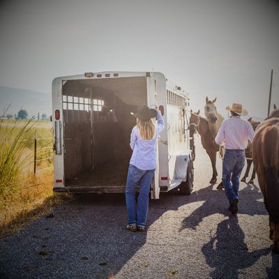 Trailers