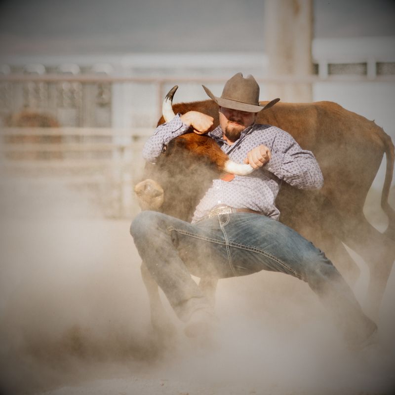 Bull Dogging