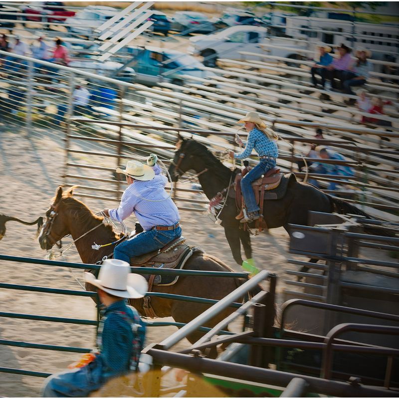 Roping Chutes &amp; Equipment