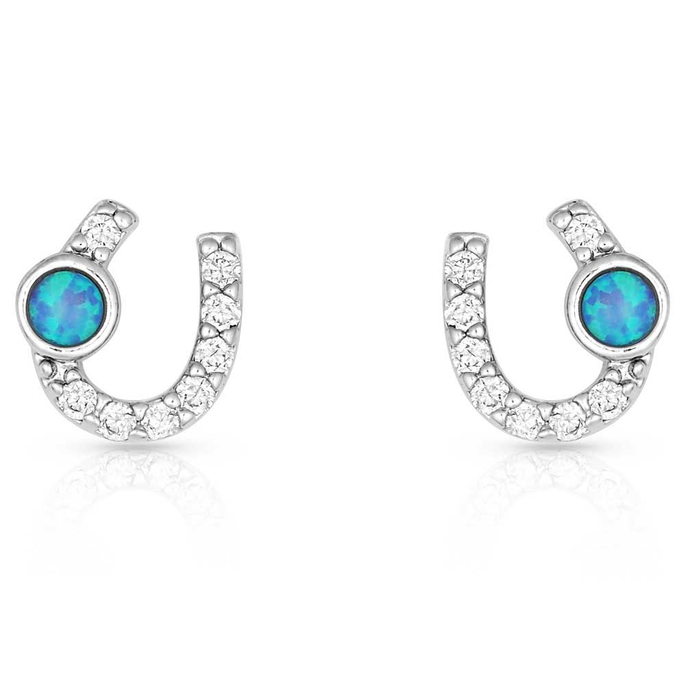 Montana Silversmiths Lightfoot Horseshoe Earrings