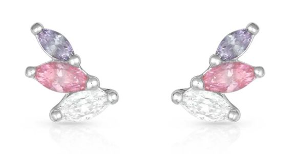 Montana Silversmiths Flared Cluster Wing Earrings