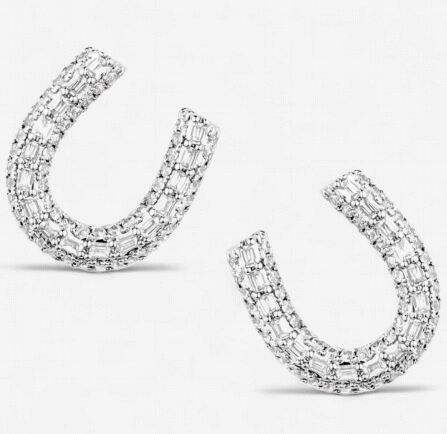 Montana Silversmiths Frosted Luck Crystal Earrings