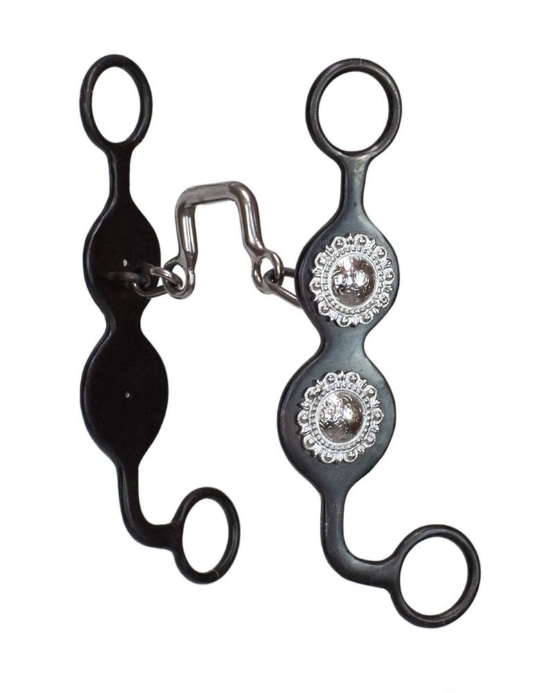 Concho Cheek Roping Bit-Square Port &amp; Chain