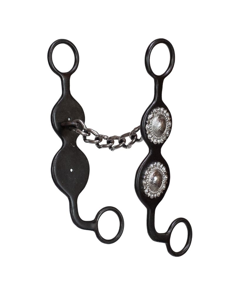 Concho Cheek Roping Bit-Chain