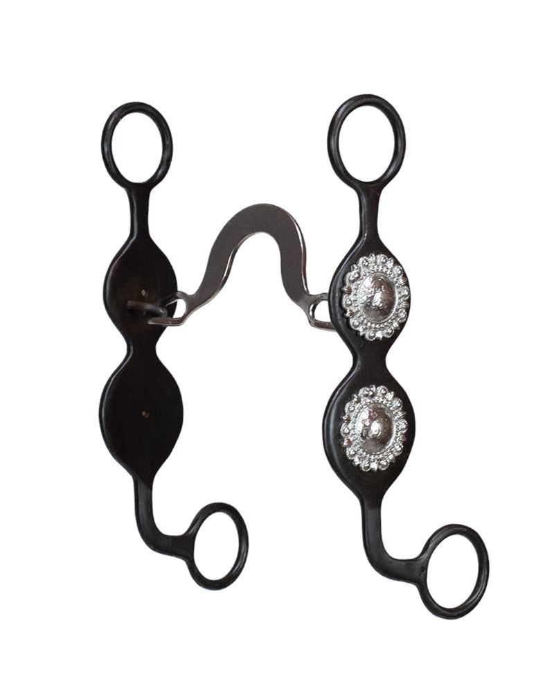 Concho Cheek Roping Bit-Medium Spoon &amp; Chain