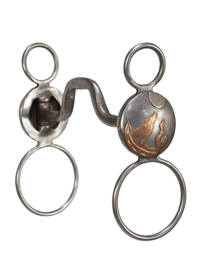 Square Port Globe Bit-Coyote &amp; Cactus
