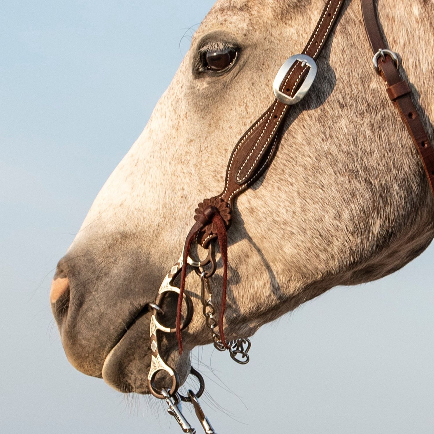 Classic Equine Sherry Cervi Short Shank Gag Barrel Bit with Twisted Wire