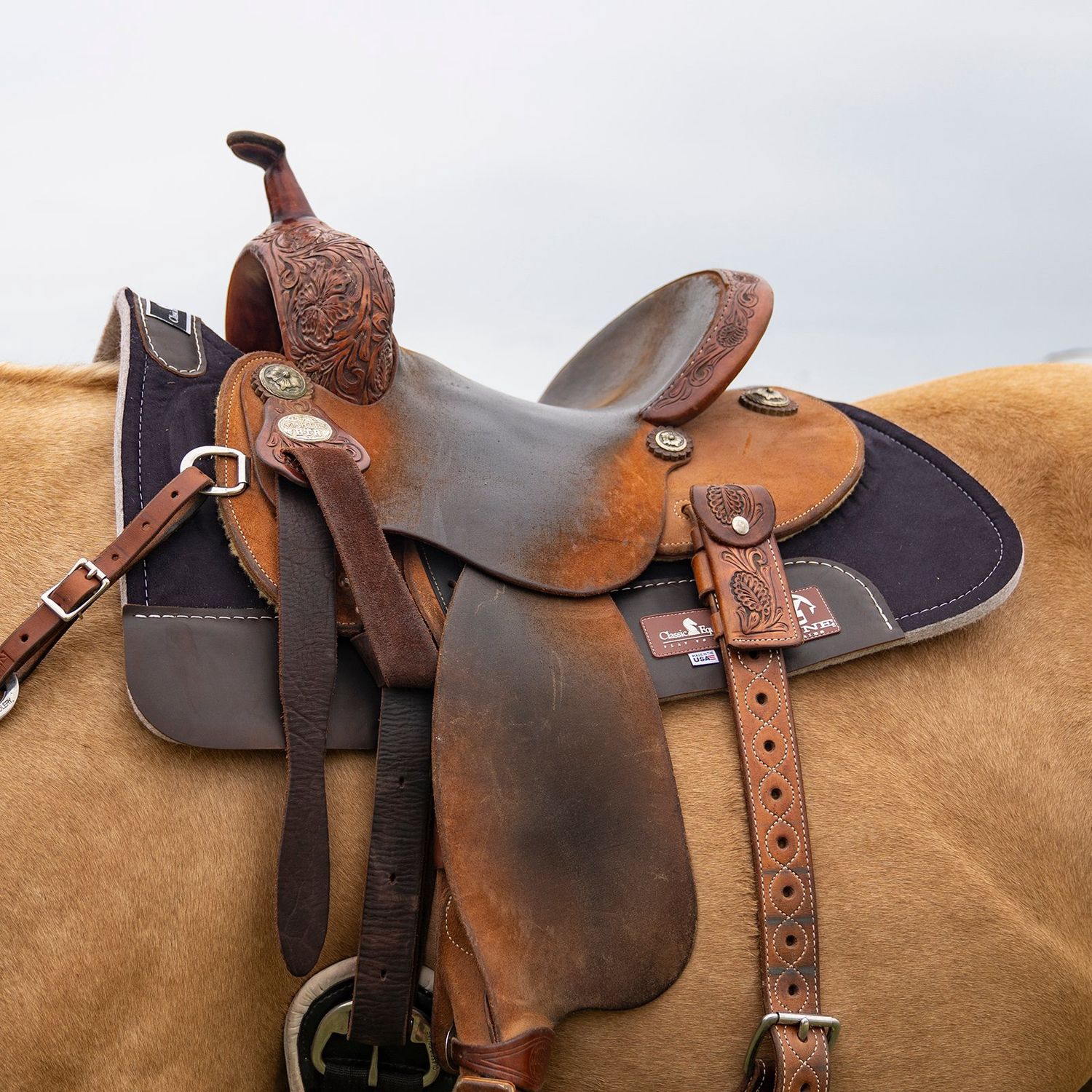 Classic Equine Zone Micro Suede Pad, 3/4-inch Felt-ZSTBK