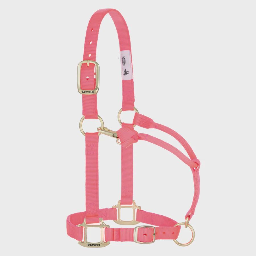 Weaver Equine Original Adjustable Chin and Throat Snap Nylon Halter, 1", Yearling
