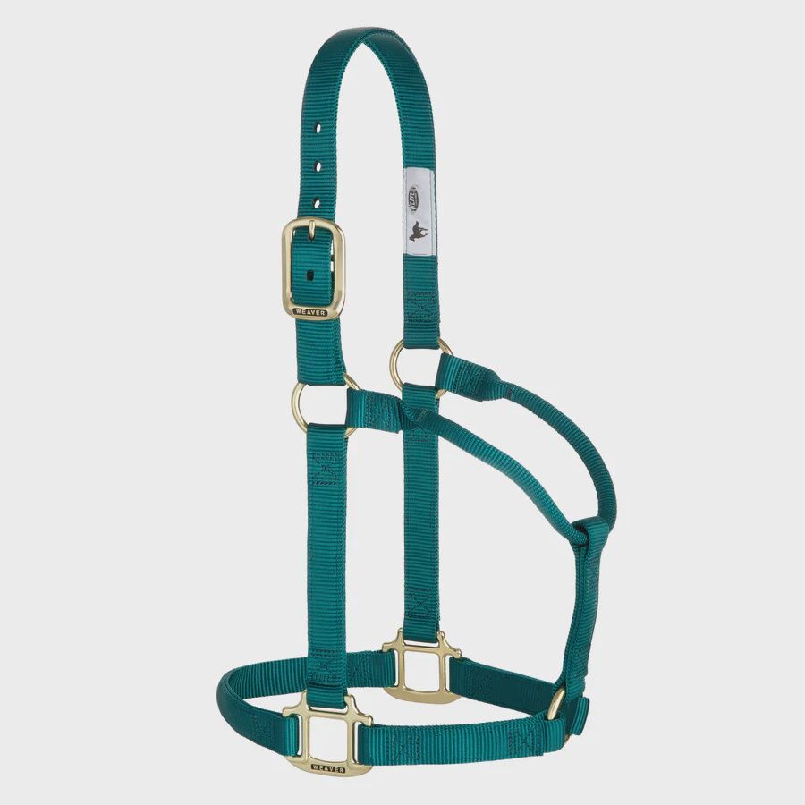 Weaver Equine Original Non-Adjustable Halter, 1" - Average